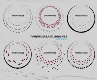 Premium basic circle brushes