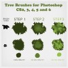 fire brushes for photoshop cs2 free download